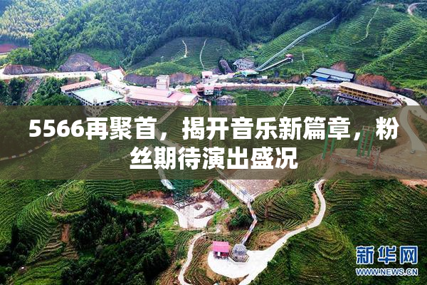 5566再聚首，揭开音乐新篇章，粉丝期待演出盛况