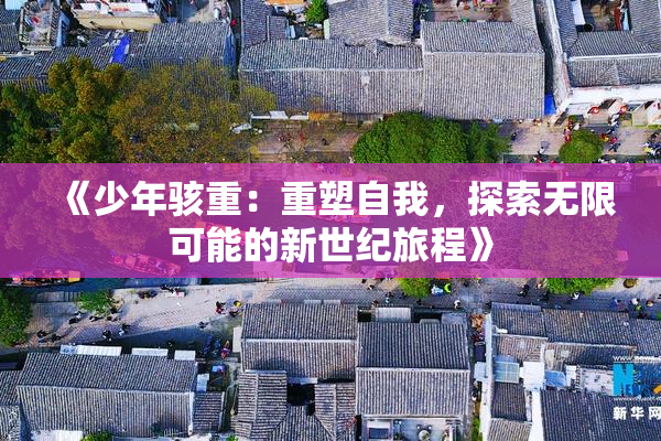 《少年骇重：重塑自我，探索无限可能的新世纪旅程》
