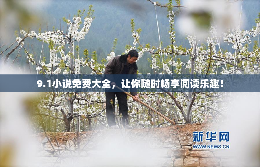 9.1小说免费大全，让你随时畅享阅读乐趣！