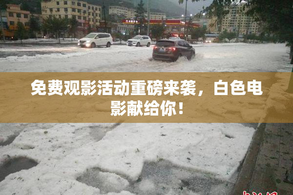 免费观影活动重磅来袭，白色电影献给你！