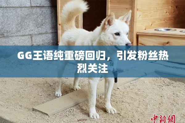 GG王语纯重磅回归，引发粉丝热烈关注