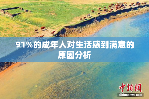 91%的成年人对生活感到满意的原因分析