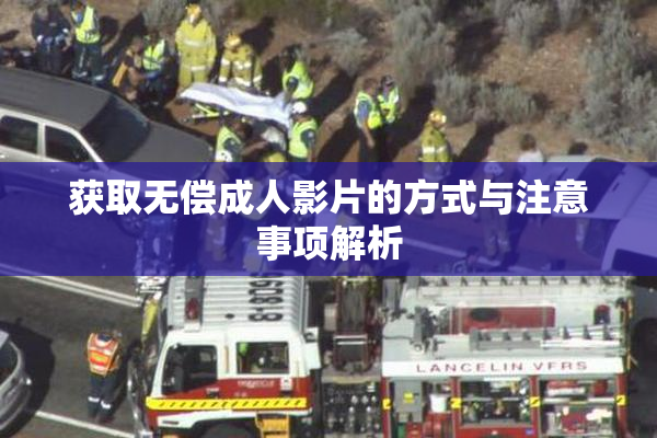 获取无偿成人影片的方式与注意事项解析
