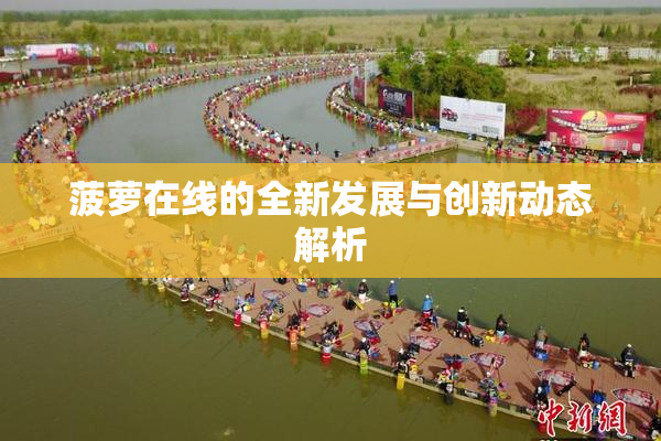 菠萝在线的全新发展与创新动态解析