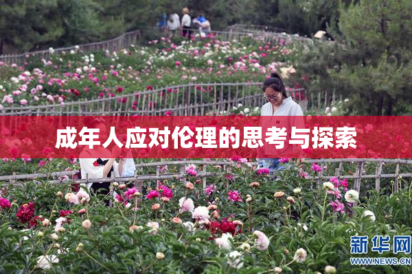 成年人应对伦理的思考与探索