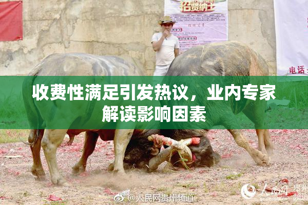 收费性满足引发热议，业内专家解读影响因素