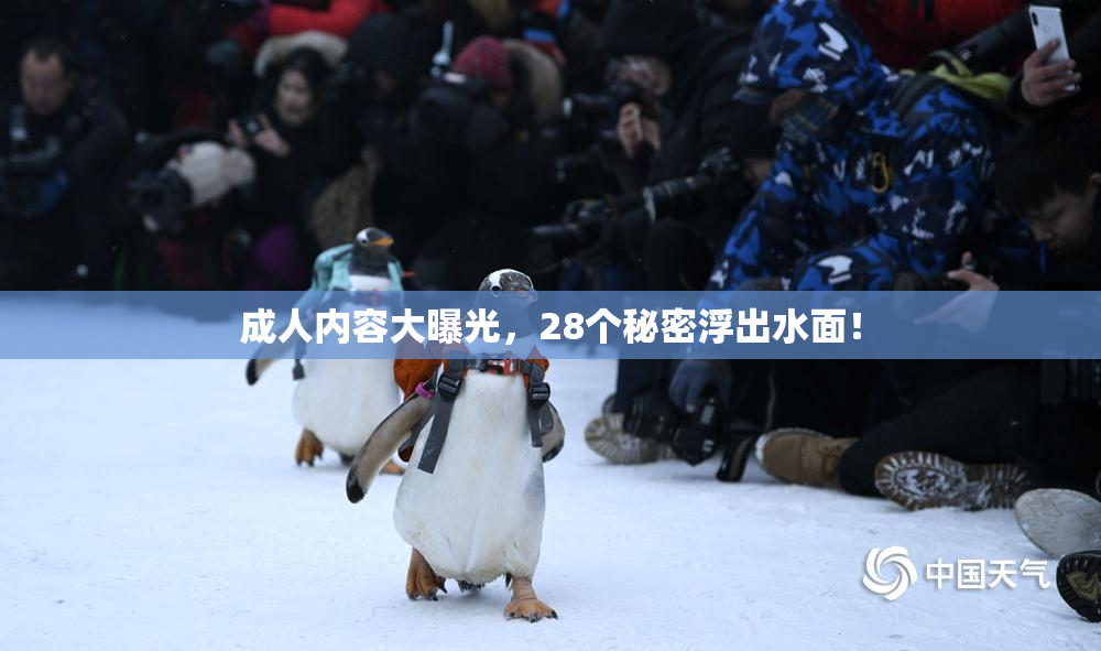 成人内容大曝光，28个秘密浮出水面！