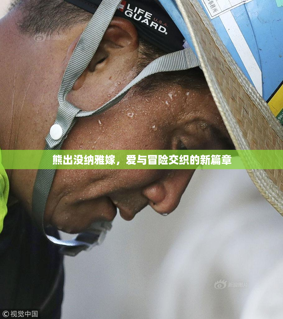 熊出没纳雅嫁，爱与冒险交织的新篇章