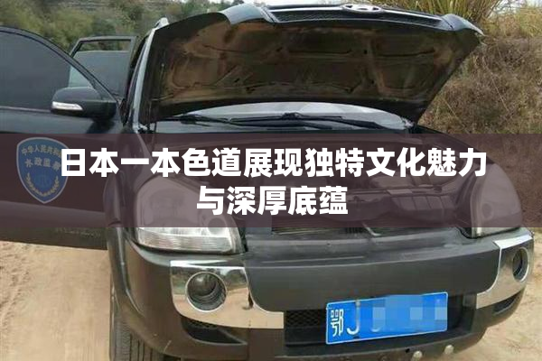 日本一本色道展现独特文化魅力与深厚底蕴