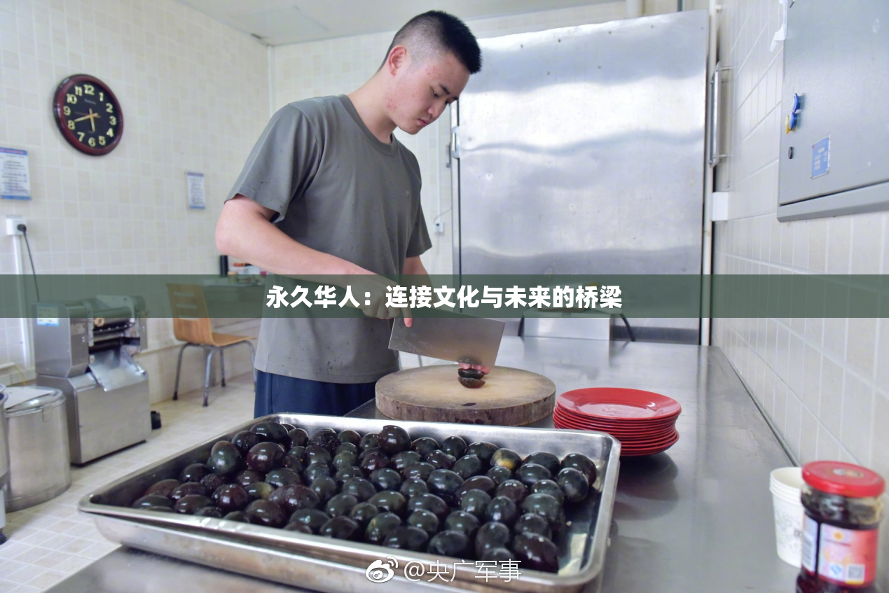 永久华人：连接文化与未来的桥梁