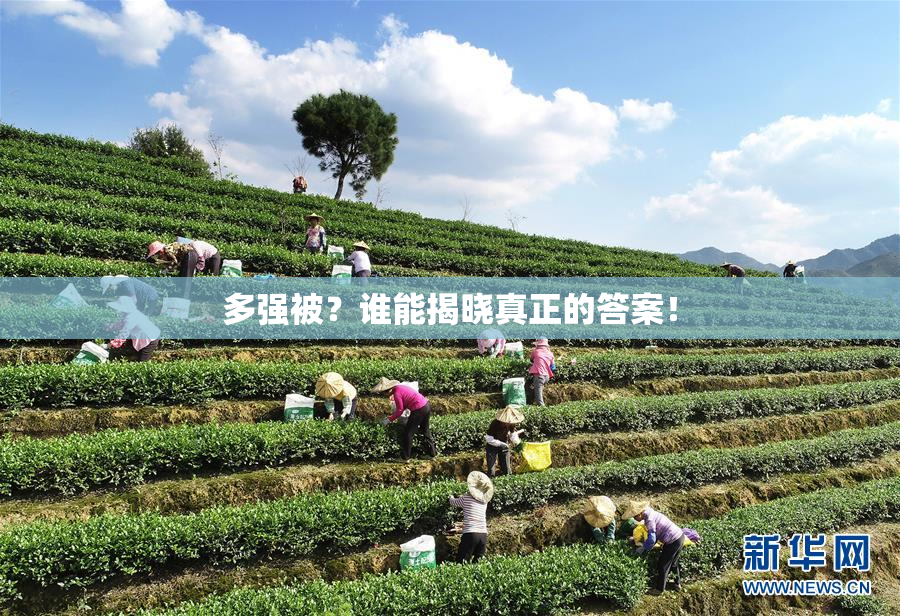 多强被？谁能揭晓真正的答案！