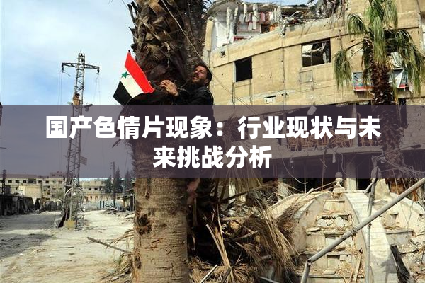 国产色情片现象：行业现状与未来挑战分析