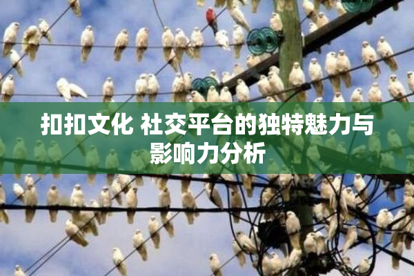 扣扣文化 社交平台的独特魅力与影响力分析