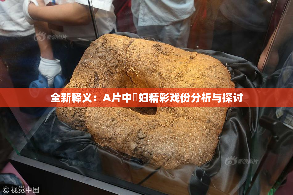 全新释义：A片中婬妇精彩戏份分析与探讨