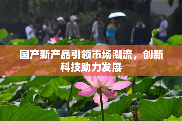 国产新产品引领市场潮流，创新科技助力发展