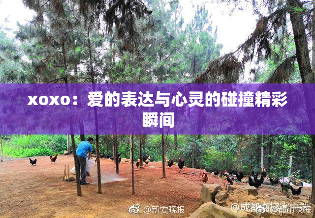 xoxo：爱的表达与心灵的碰撞精彩瞬间
