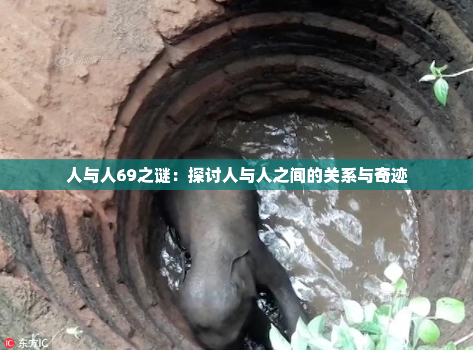 人与人69之谜：探讨人与人之间的关系与奇迹
