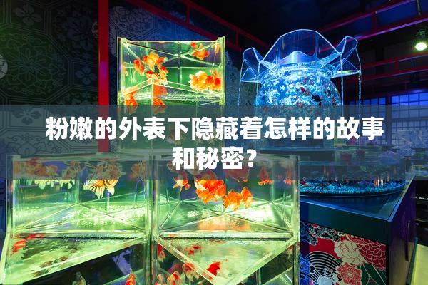 粉嫩的外表下隐藏着怎样的故事和秘密？