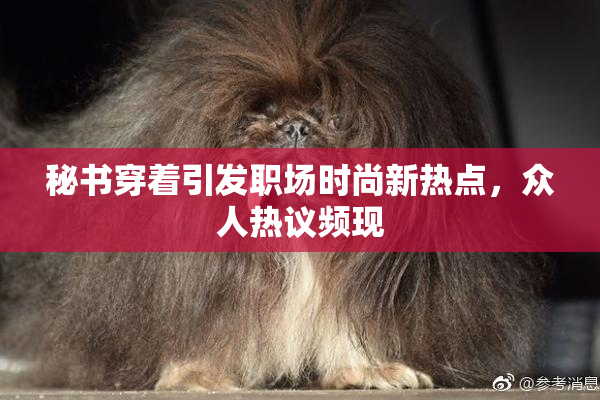 秘书穿着引发职场时尚新热点，众人热议频现