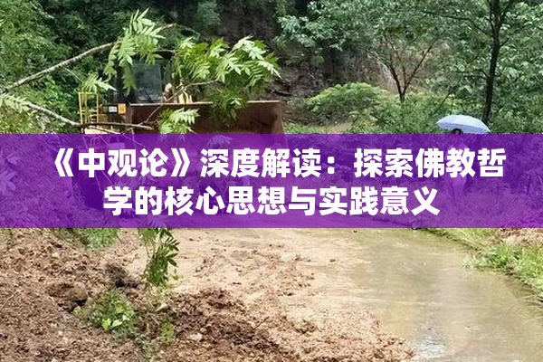 《中观论》深度解读：探索佛教哲学的核心思想与实践意义