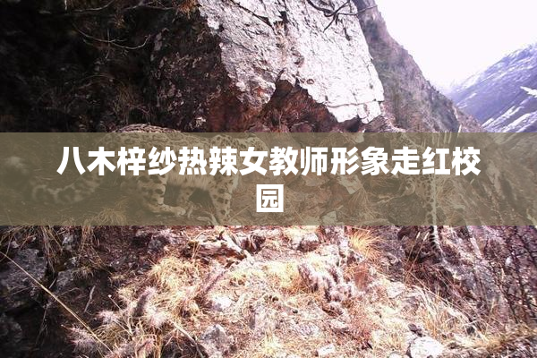 八木梓纱热辣女教师形象走红校园