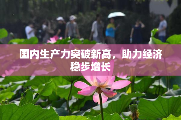 国内生产力突破新高，助力经济稳步增长