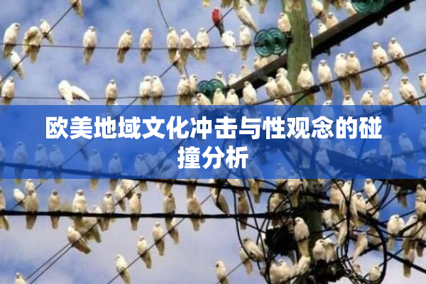 欧美地域文化冲击与性观念的碰撞分析