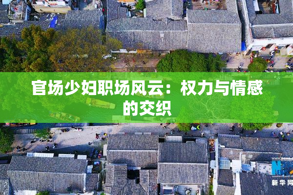 官场少妇职场风云：权力与情感的交织