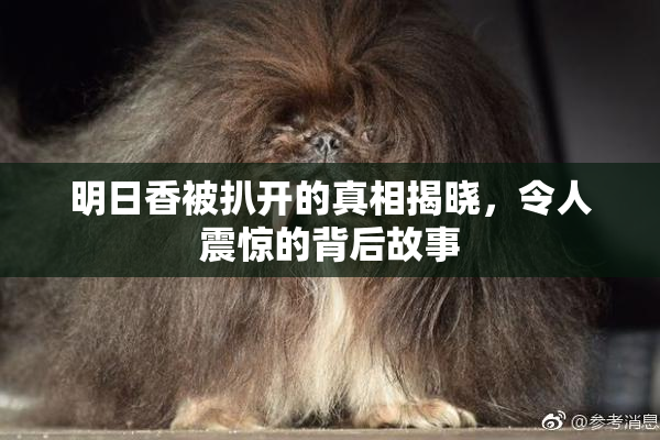 明日香被扒开的真相揭晓，令人震惊的背后故事