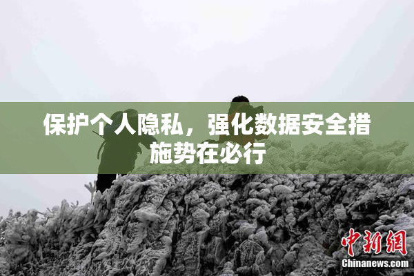 保护个人隐私，强化数据安全措施势在必行