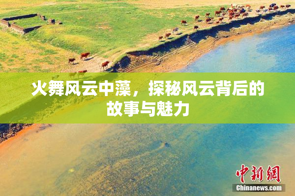 火舞风云中藻，探秘风云背后的故事与魅力