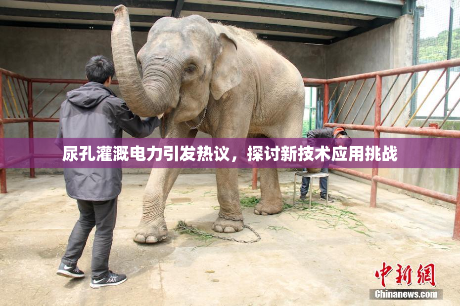 尿孔灌溉电力引发热议，探讨新技术应用挑战