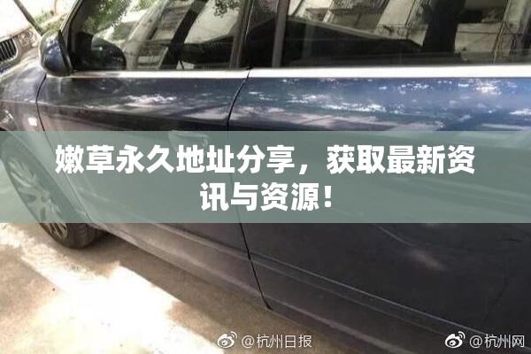 嫩草永久地址分享，获取最新资讯与资源！