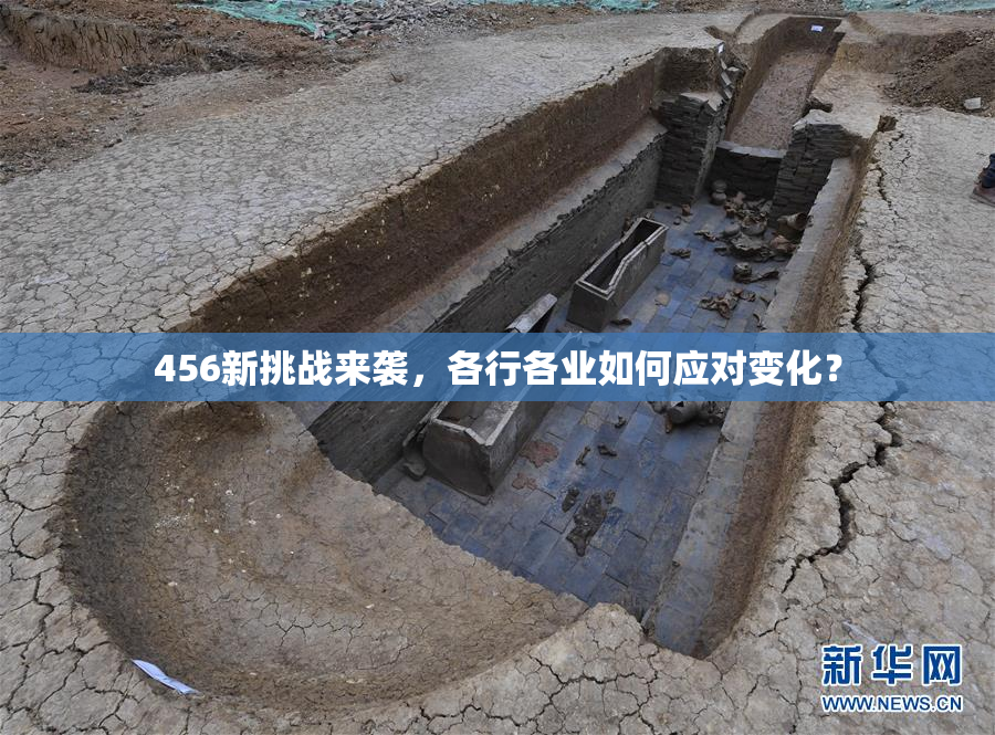 456新挑战来袭，各行各业如何应对变化？