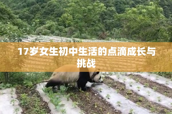 17岁女生初中生活的点滴成长与挑战