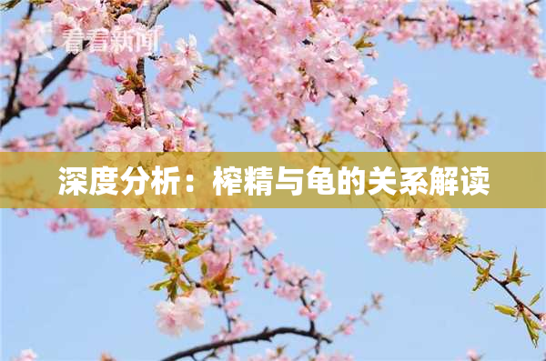 深度分析：榨精与龟的关系解读