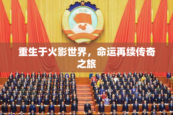 重生于火影世界，命运再续传奇之旅
