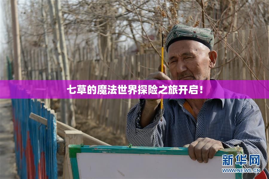 七草的魔法世界探险之旅开启！