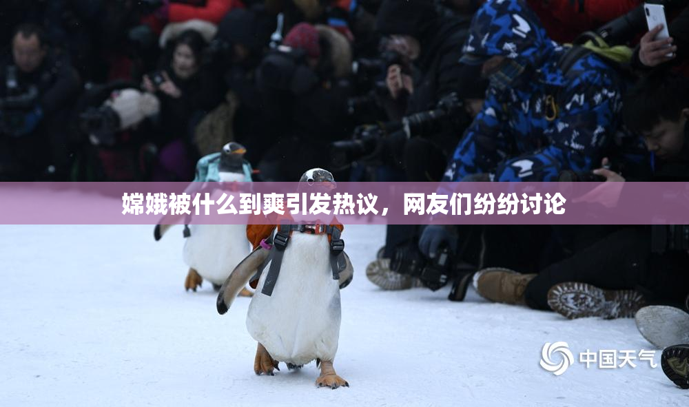 嫦娥被什么到爽引发热议，网友们纷纷讨论