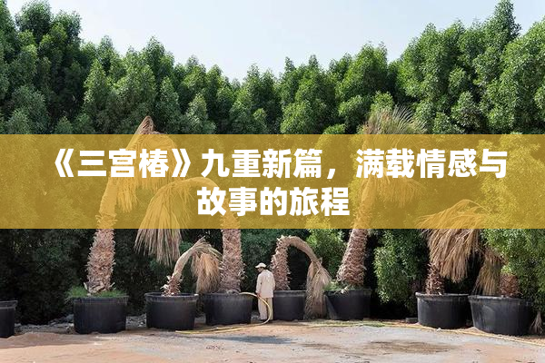 《三宫椿》九重新篇，满载情感与故事的旅程