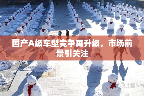 国产A级车型竞争再升级，市场前景引关注