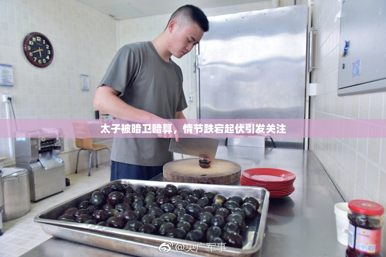 太子被暗卫暗算，情节跌宕起伏引发关注
