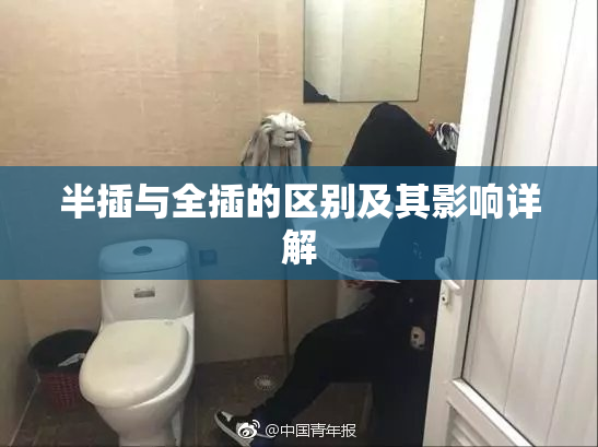 半插与全插的区别及其影响详解