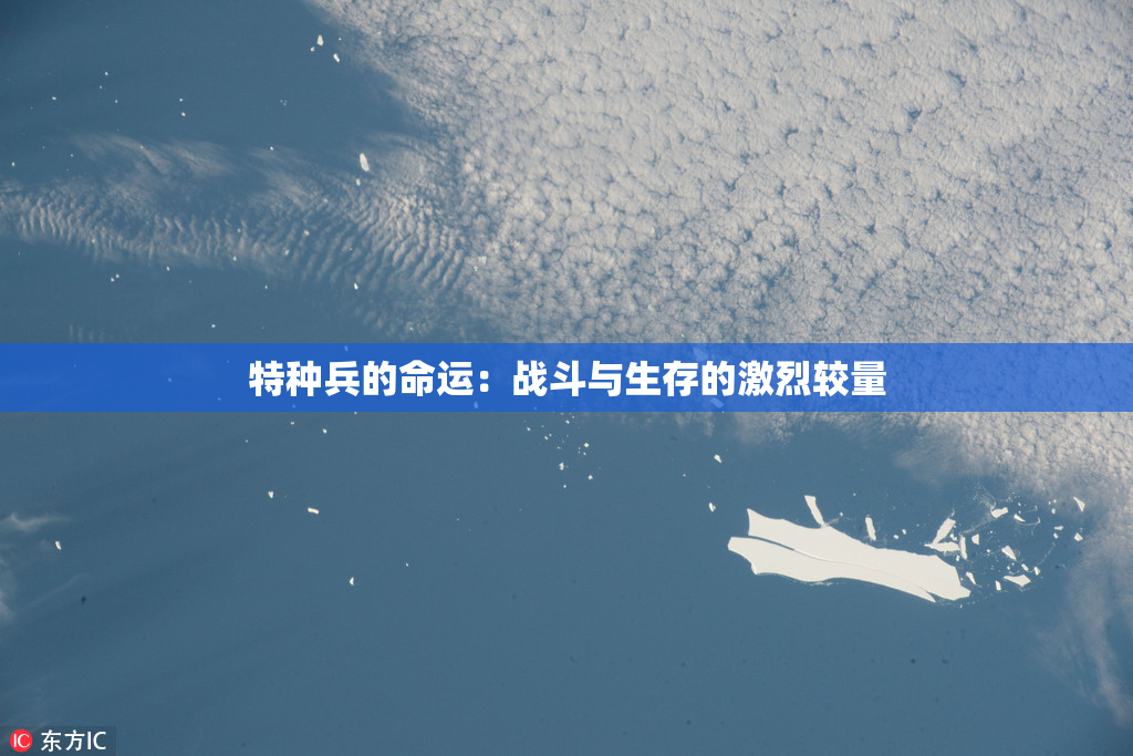 特种兵的命运：战斗与生存的激烈较量
