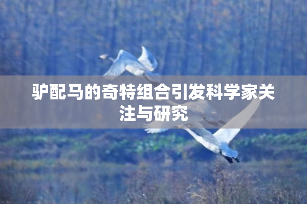 驴配马的奇特组合引发科学家关注与研究