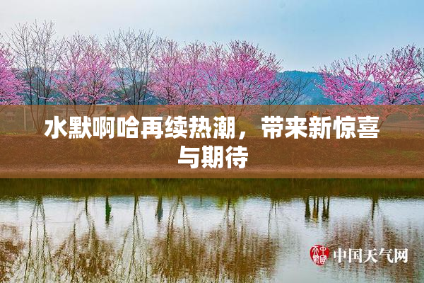水默啊哈再续热潮，带来新惊喜与期待