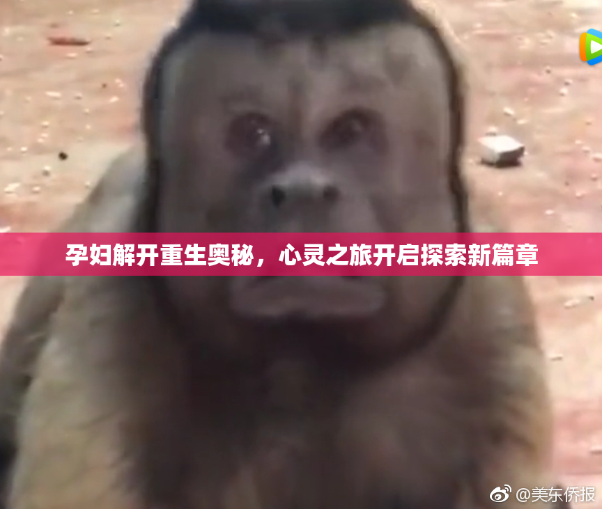 孕妇解开重生奥秘，心灵之旅开启探索新篇章