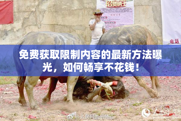 免费获取限制内容的最新方法曝光，如何畅享不花钱！