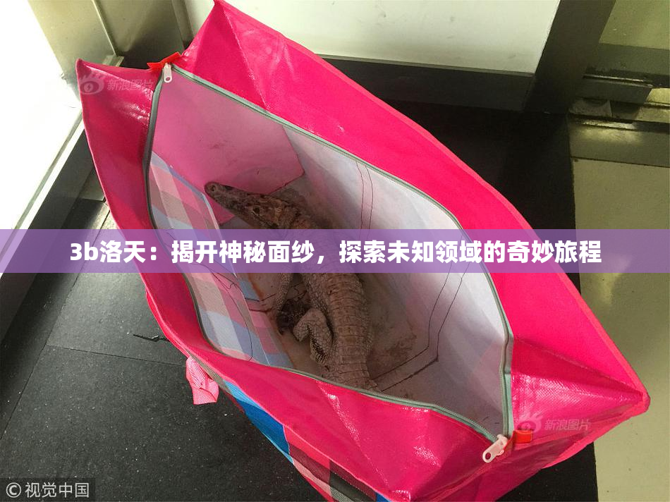 3b洛天：揭开神秘面纱，探索未知领域的奇妙旅程