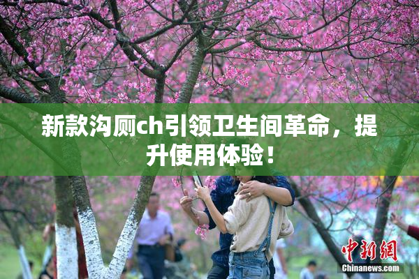 新款沟厕ch引领卫生间革命，提升使用体验！